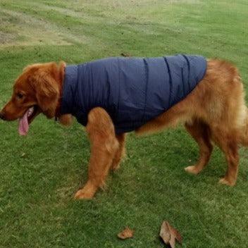 Warm Waterproof Pet Clothing | Pet Pawlour